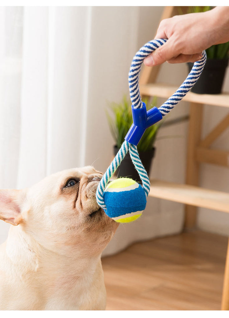 Two Ball Knot Rope Toy