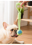 Two Ball Knot Rope Toy