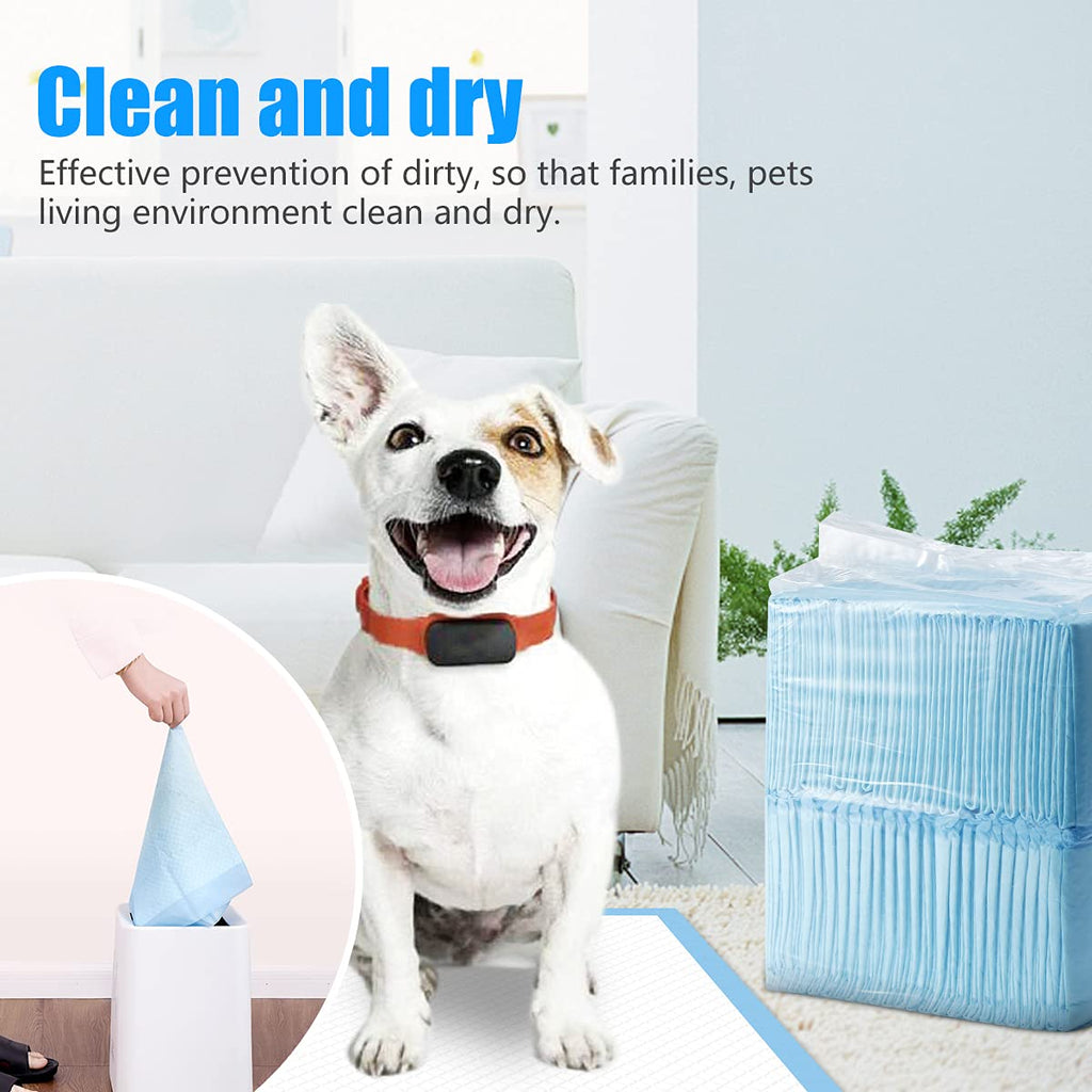 Dogs Training Pad 50 Pcs Bundle