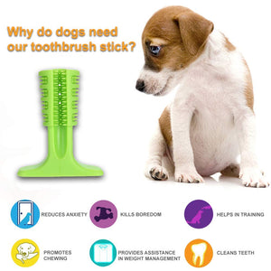Dog Chew Brush