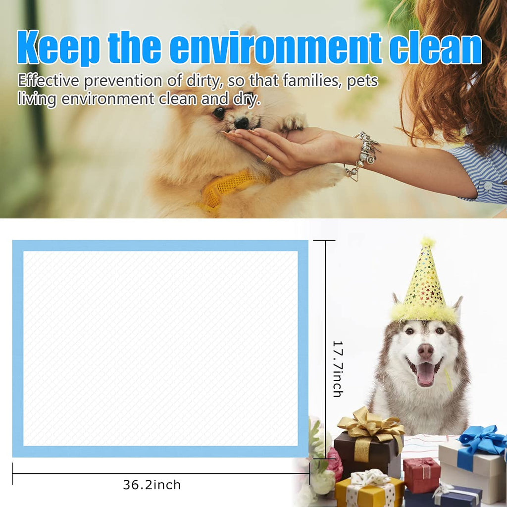 Dogs Training Pad 50 Pcs Bundle