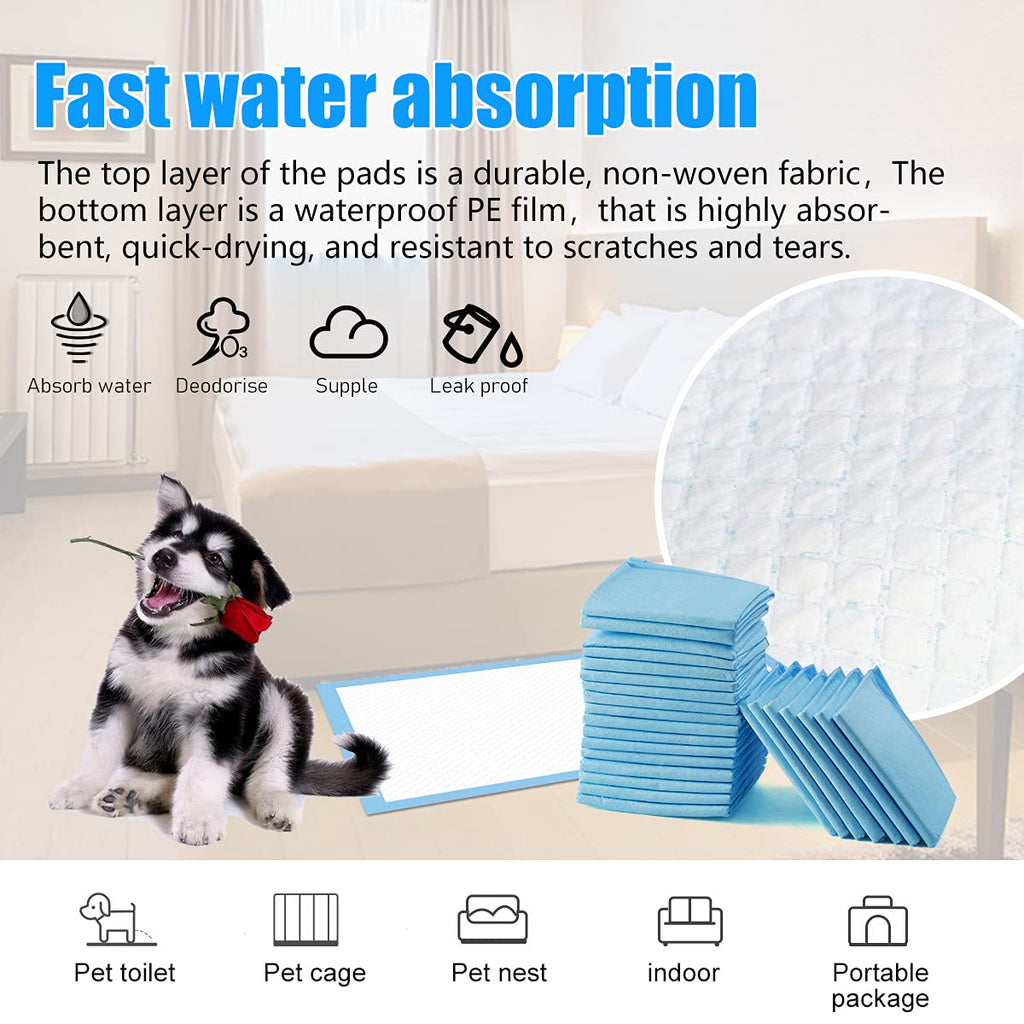 Dogs Training Pad 50 Pcs Bundle