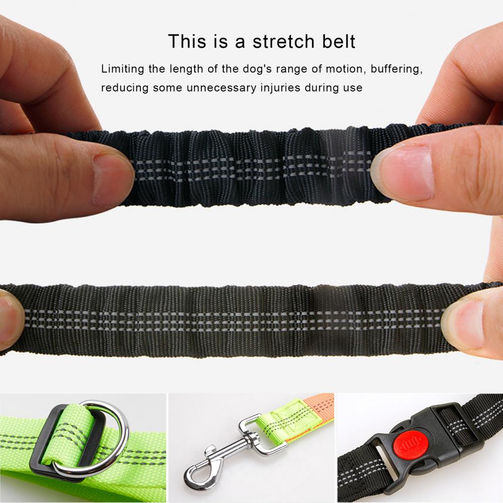 Multipurpose Dog Leash