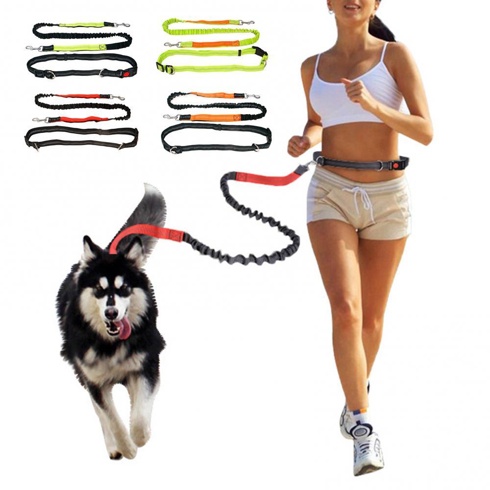 Multipurpose Dog Leash