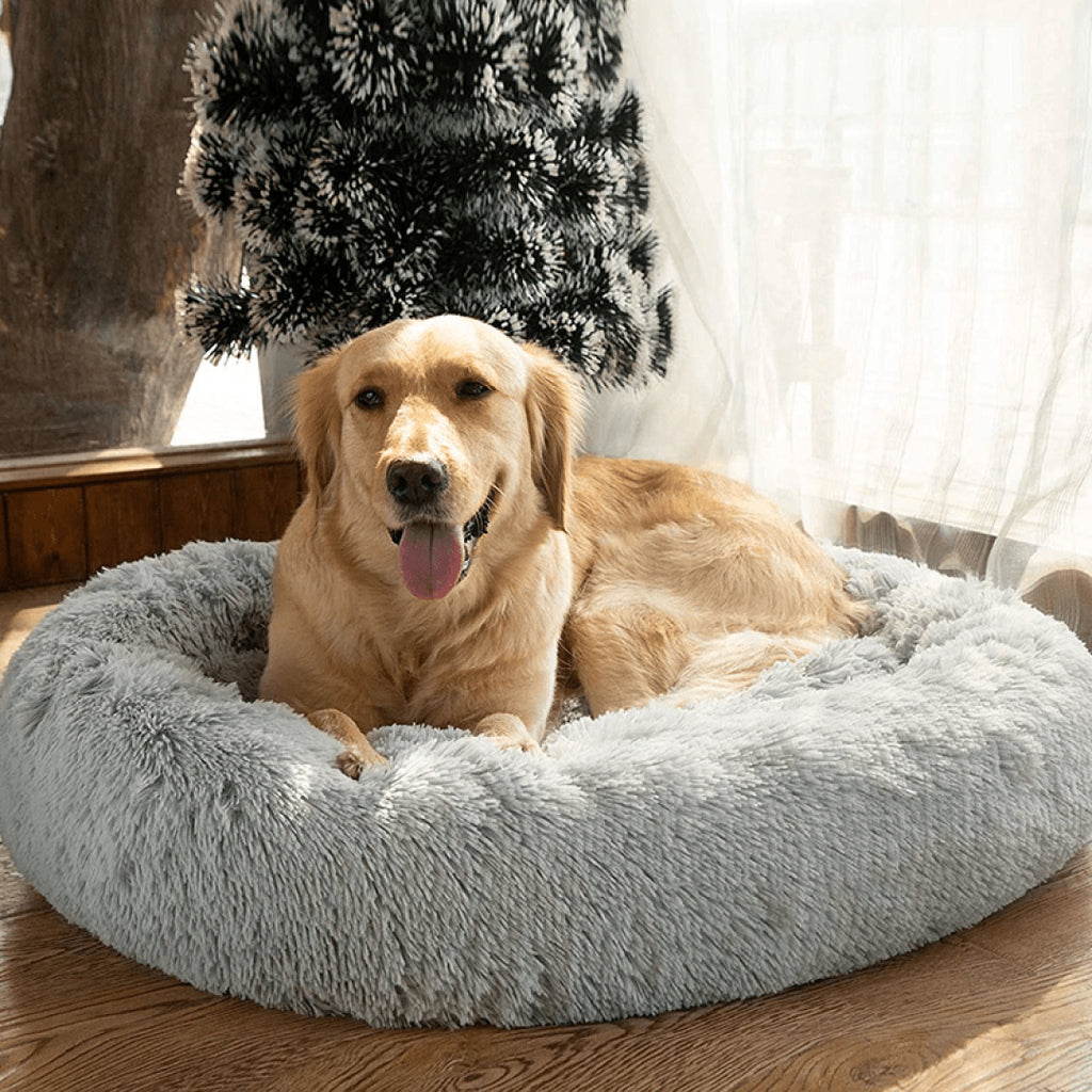 Anxiety Releasing Dog Bed