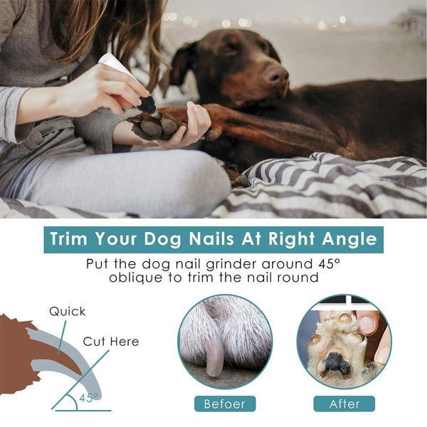 Easiest dog outlet nail trimmer