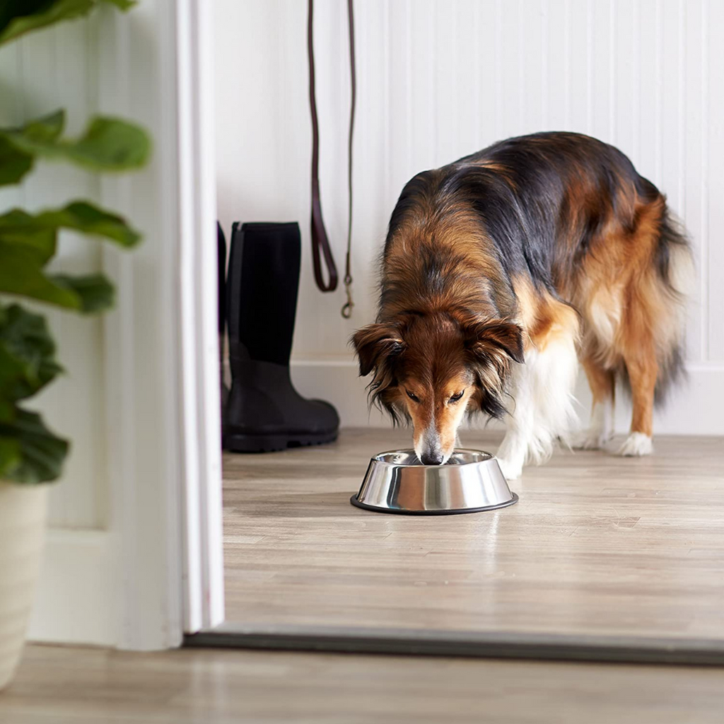 Stainless Steel Dog Bowl