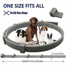 Dog Flea and Tick Prevention Collar