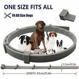 Dog Flea and Tick Prevention Collar