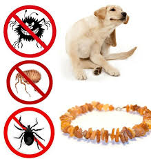 Dog Flea and Tick Prevention Collar