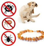 Dog Flea and Tick Prevention Collar