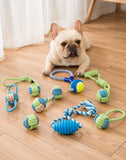 Two Ball Knot Rope Toy