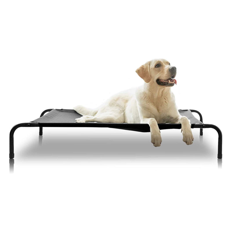 Elevated Dog bed
