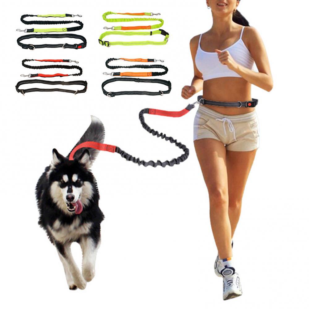 Jogging Pet Traction Leash Hands Free with Adjustable Hip Belt Long Re –  Ekartpet