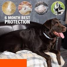 Dog Flea and Tick Prevention Collar