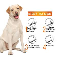 Dog Flea and Tick Prevention Collar